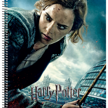 Εικόνα 4 για ΤΕΤΡΑΔΙΑ ΜΟΝΟ ΣΠΙΡΑΛ HARRY POTTER N.2 60Φ.