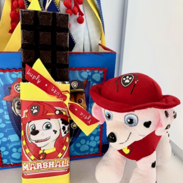 Εικόνα 3 για Σετ Λαμπάδας PawPatrol Marshall με λούτρινο